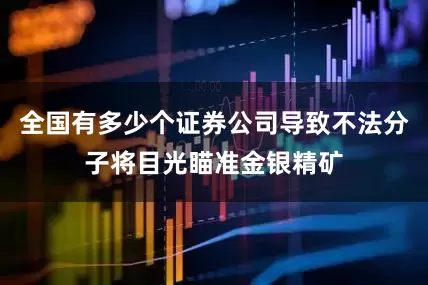 全国有多少个证券公司导致不法分子将目光瞄准金银精矿