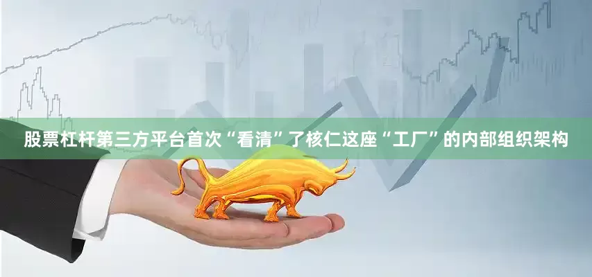 股票杠杆第三方平台首次“看清”了核仁这座“工厂”的内部组织架构